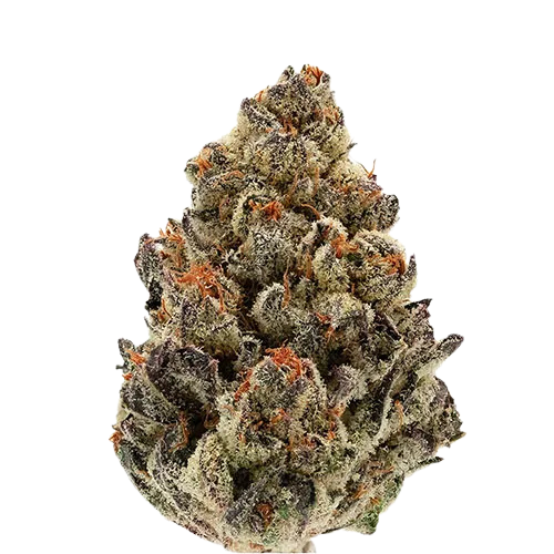 Queen City OG