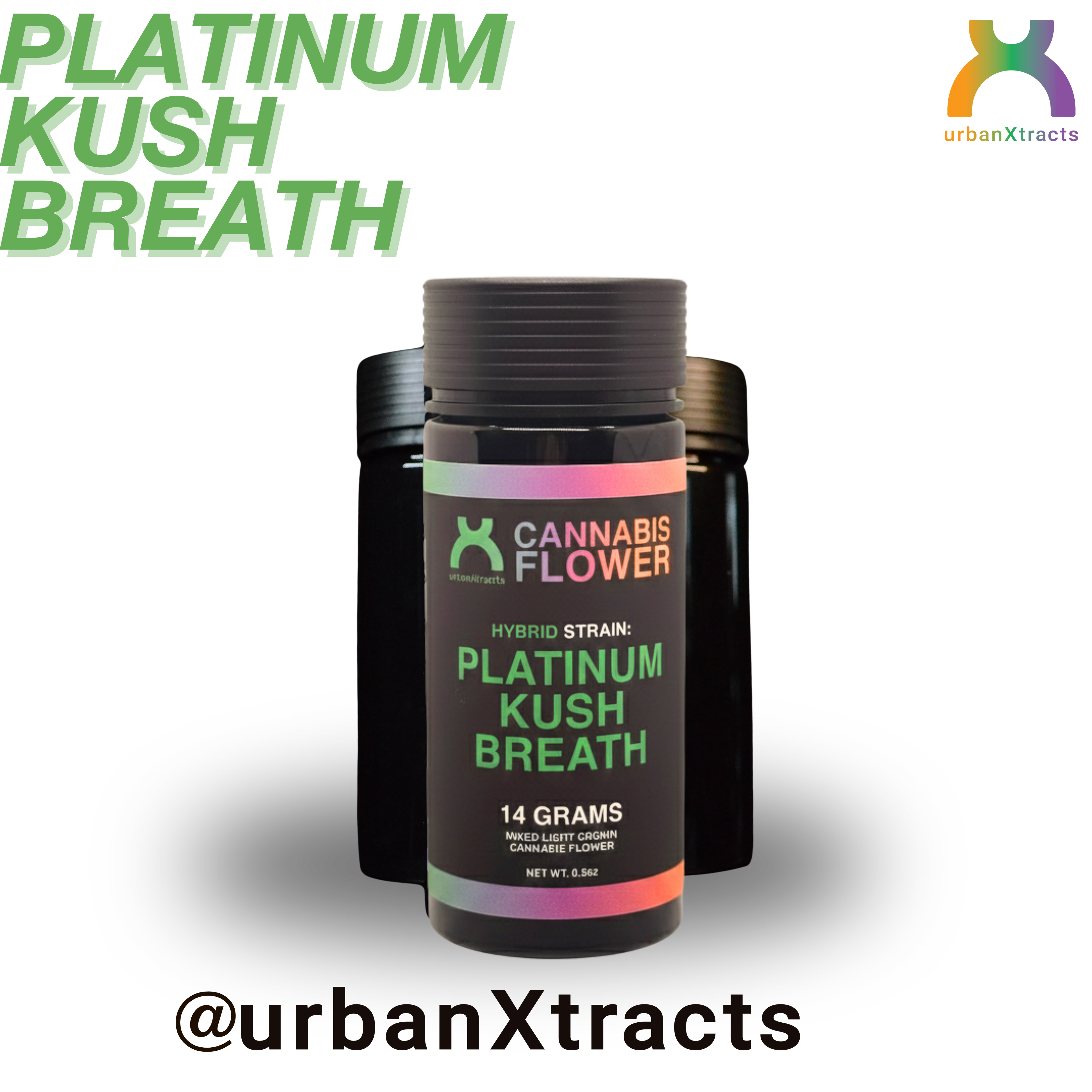 Platinum Kush Breath - 14G Flower - urbanXtracts
