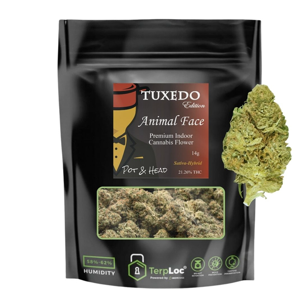 Animal Face - Flower 14g - Pot & Head