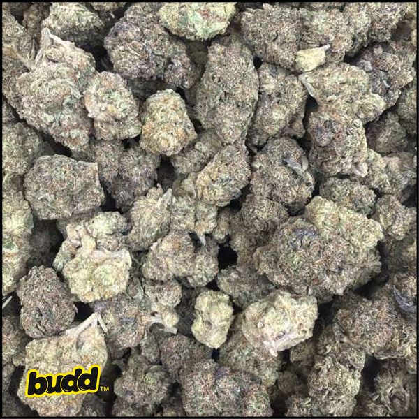 Ice Cream Cake Indica-Dom Flower 3.5 Grams product photo