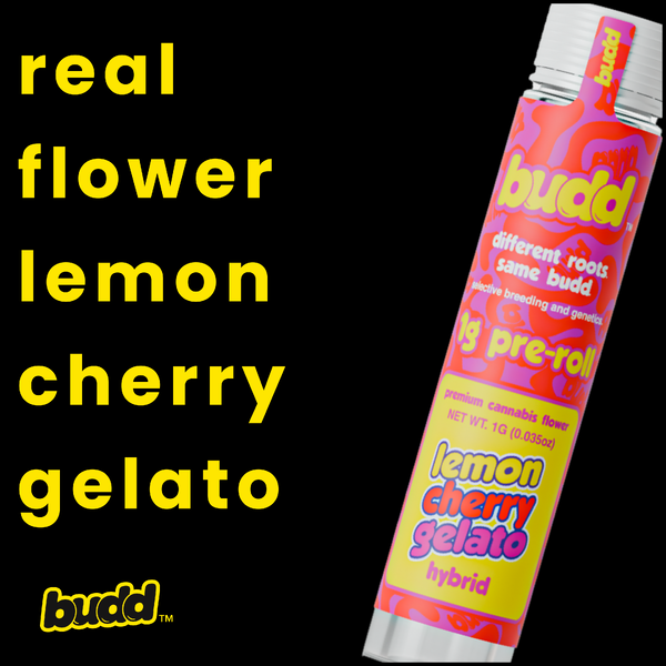 Lemon Cherry Gelato Hybrid Pre Roll 1 Gram