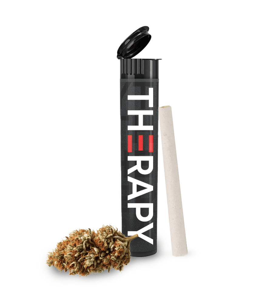 Blue Dream | Pre Roll 2 Pack | Kief Infused | 1 Gram