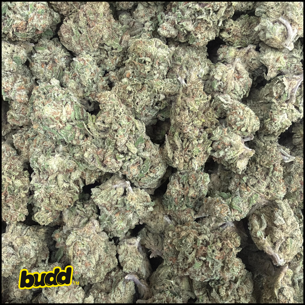 Blue Dream Sativa-Dom Flower 3.5 Grams product photo