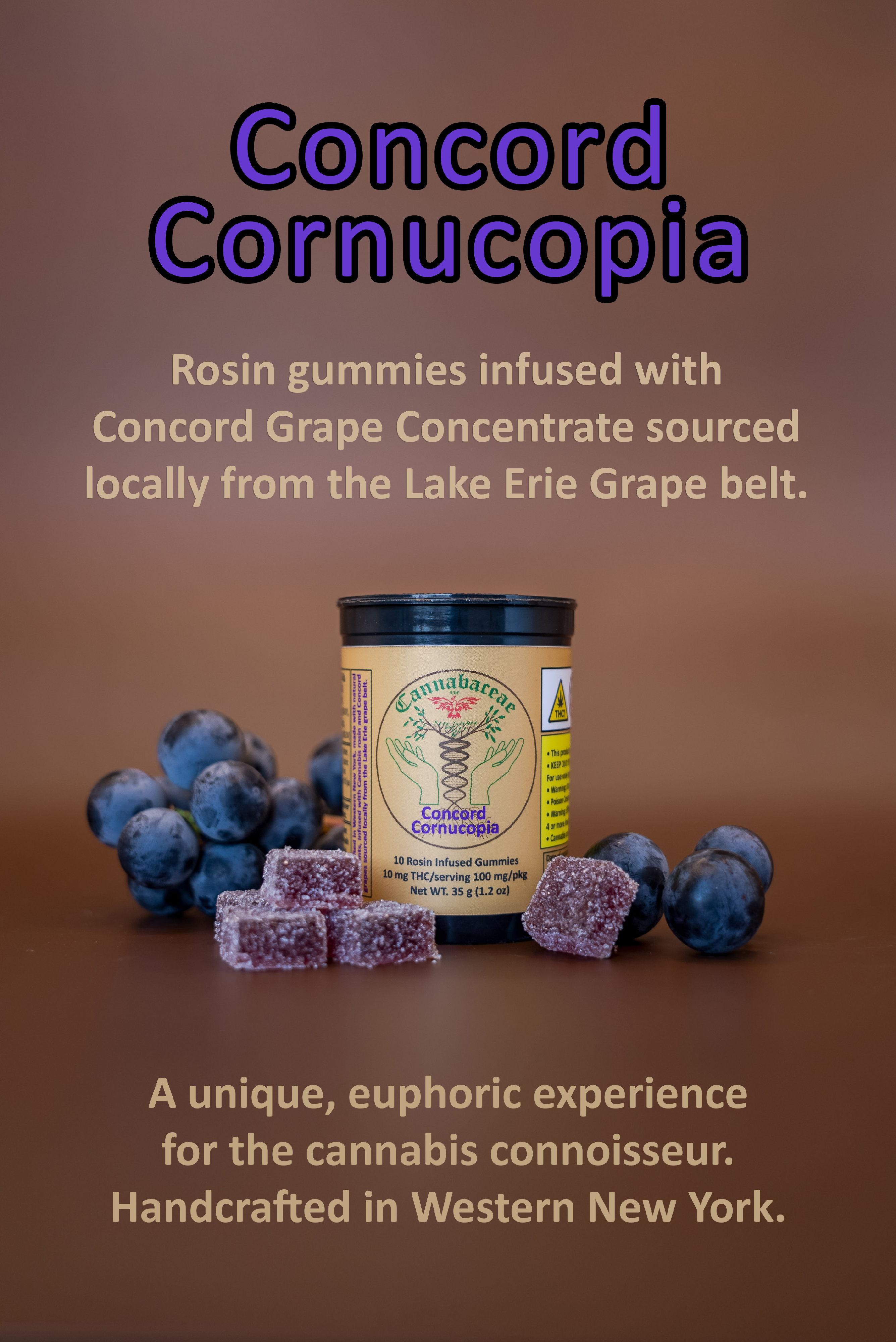 Concord Cornucopia Grape Flavored Gummies 10 Pack = 100 MG