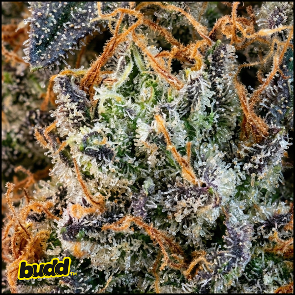 Permanent Marker Hybrid Flower 3.5 Grams