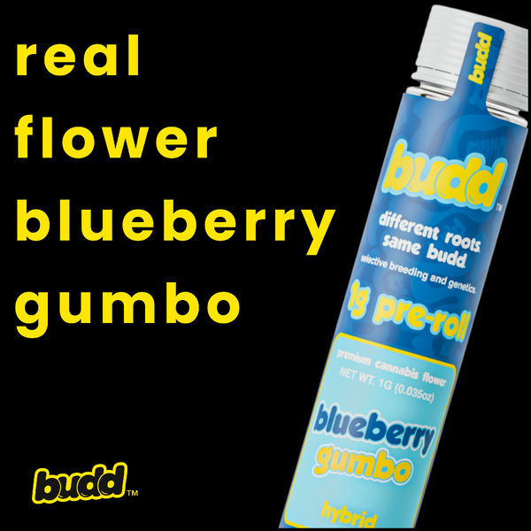 Blueberry Gumbo | Pre Roll | 1 Gram