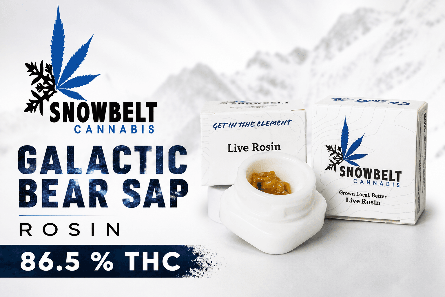 Galactic Bear Sap Rosin 1 Gram