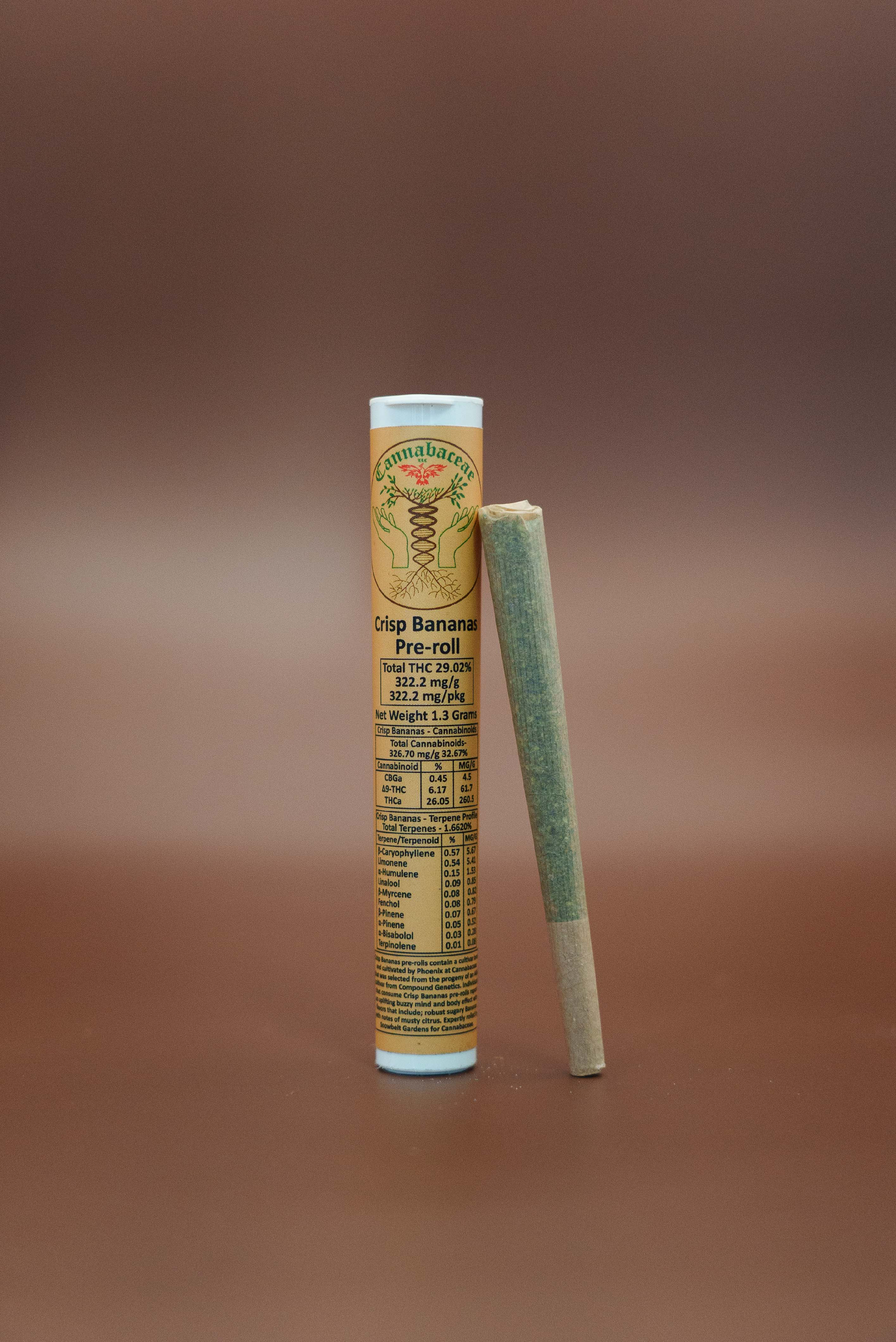 Crisp Bananas Hybrid 1 Gram Pre Roll