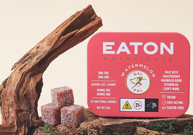 Watermelon Gal Pal - Edibles (5mg THC | 5mg CBD) - Eaton Botanicals