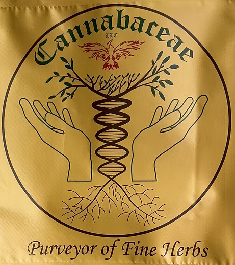 Cherry Bliss | Pre Roll | 1 Gram